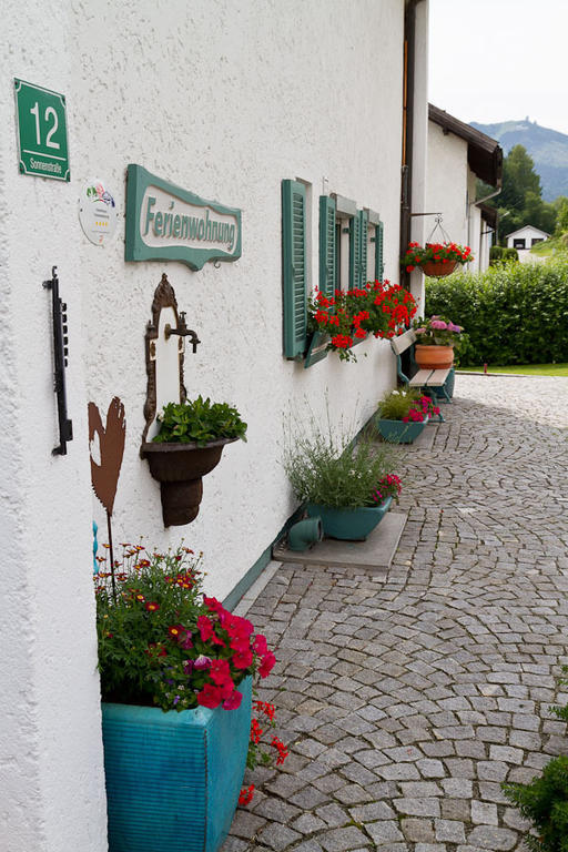 Apartment Arber Friedl